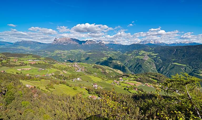 foto42