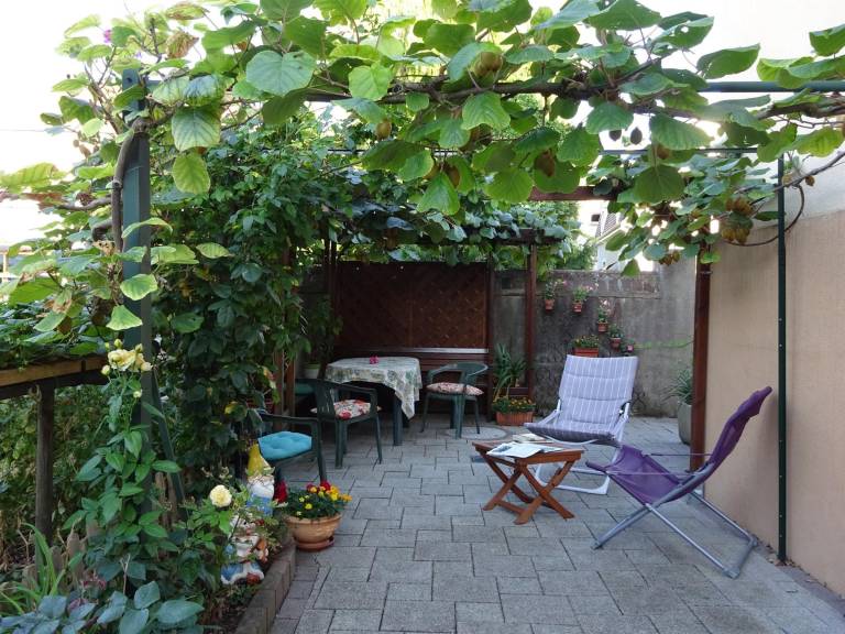 foto6