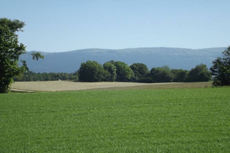 foto19