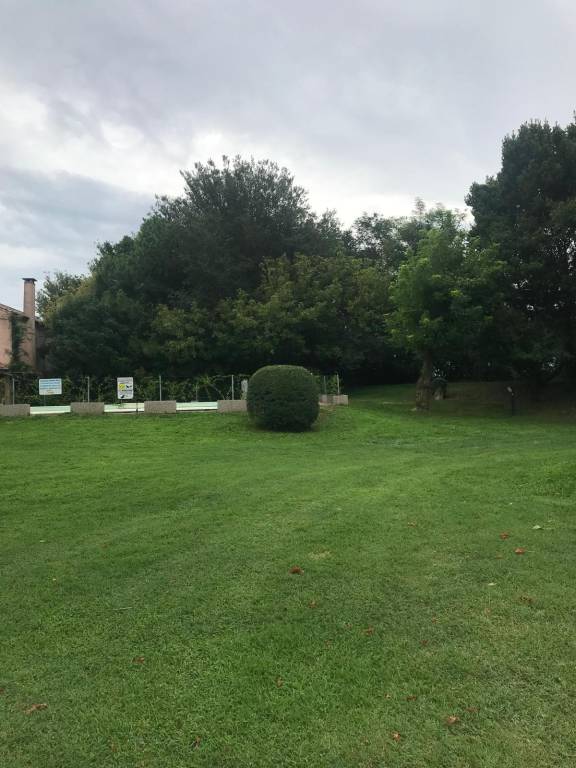 foto17