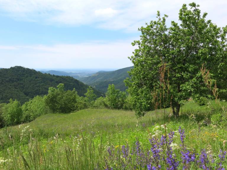 foto27