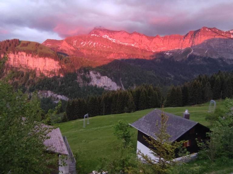foto19