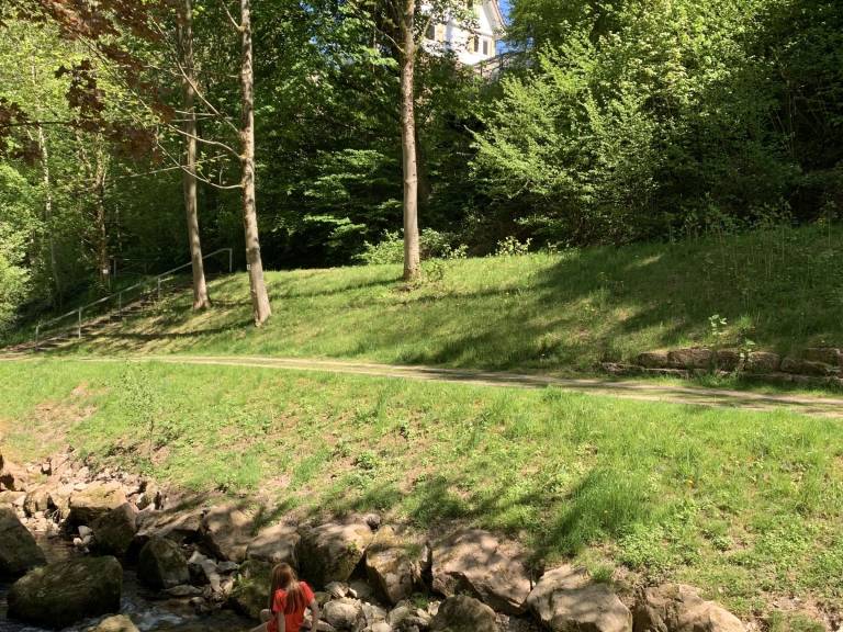 foto35