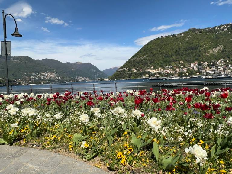 foto19