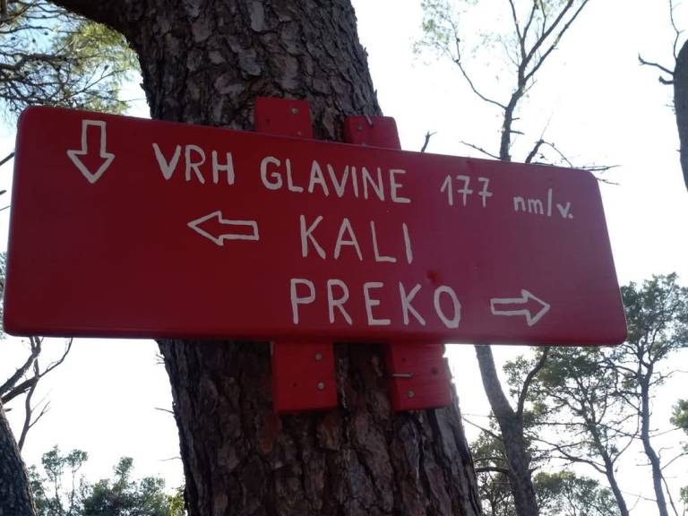 foto43