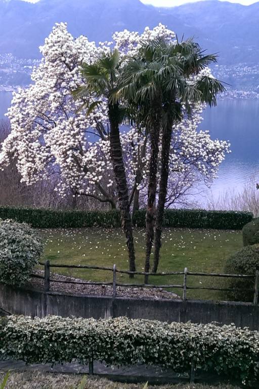 foto44