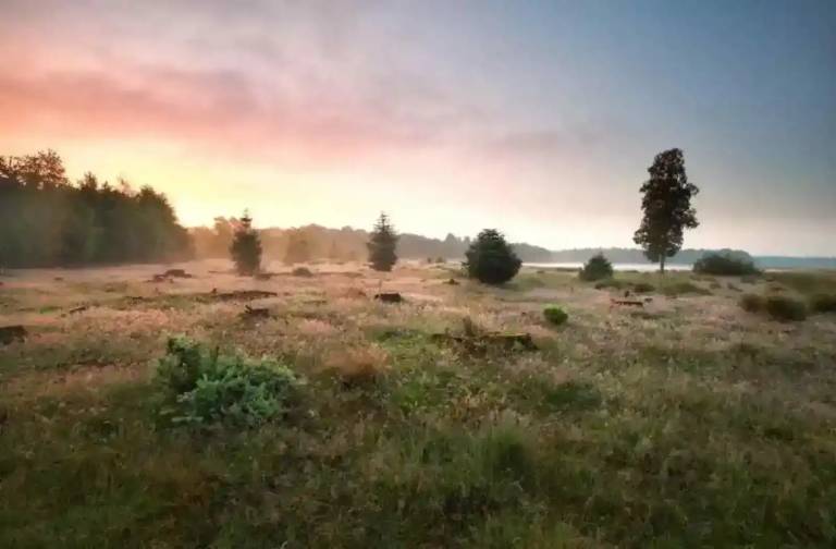 foto18