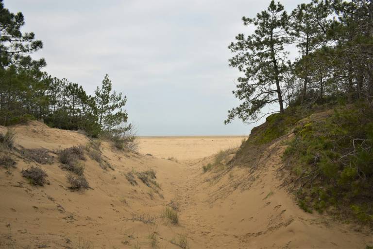 foto24