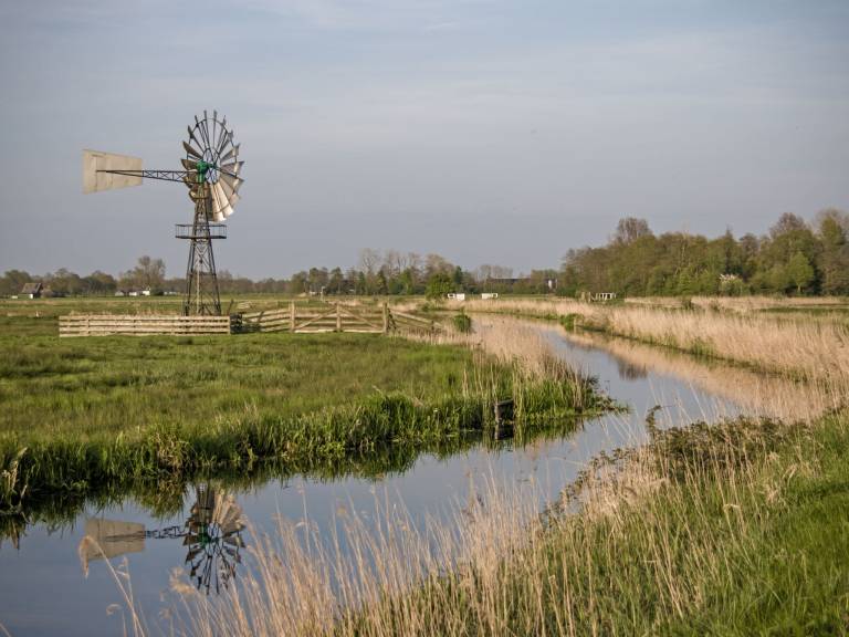 foto17