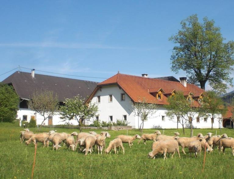 foto15