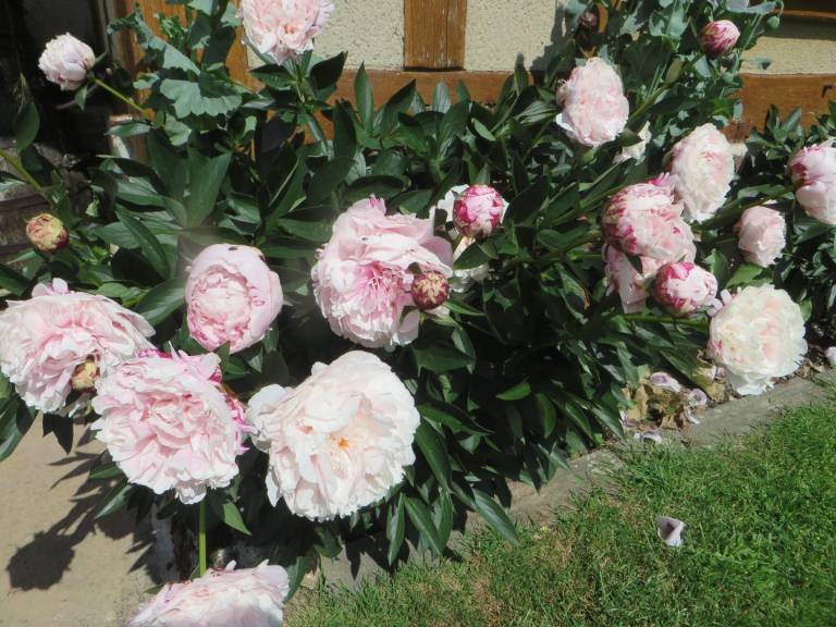 foto32