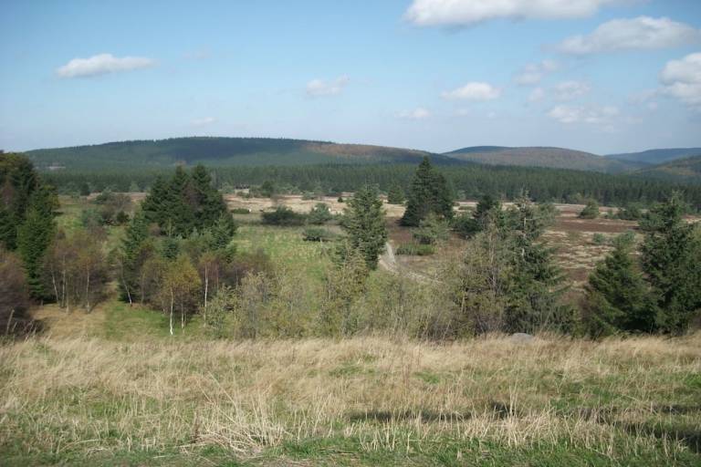 foto14