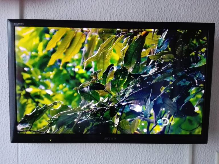foto1