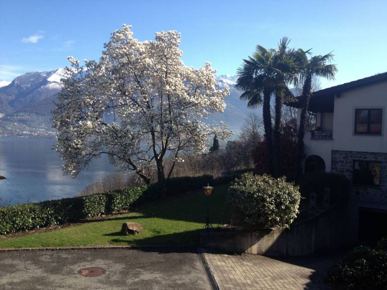 foto40