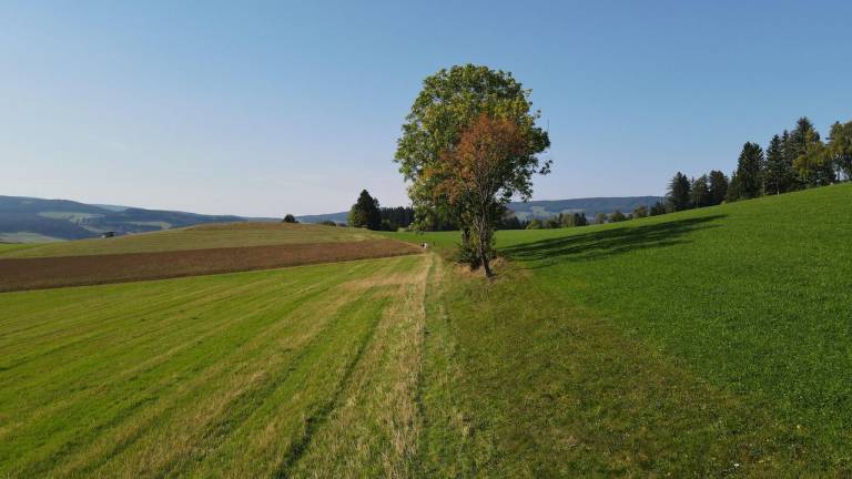 foto10