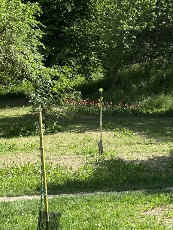 foto7