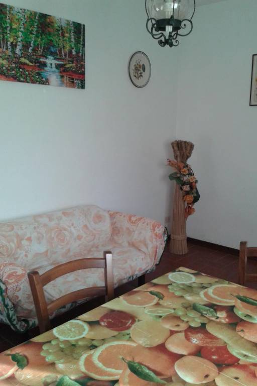 foto6