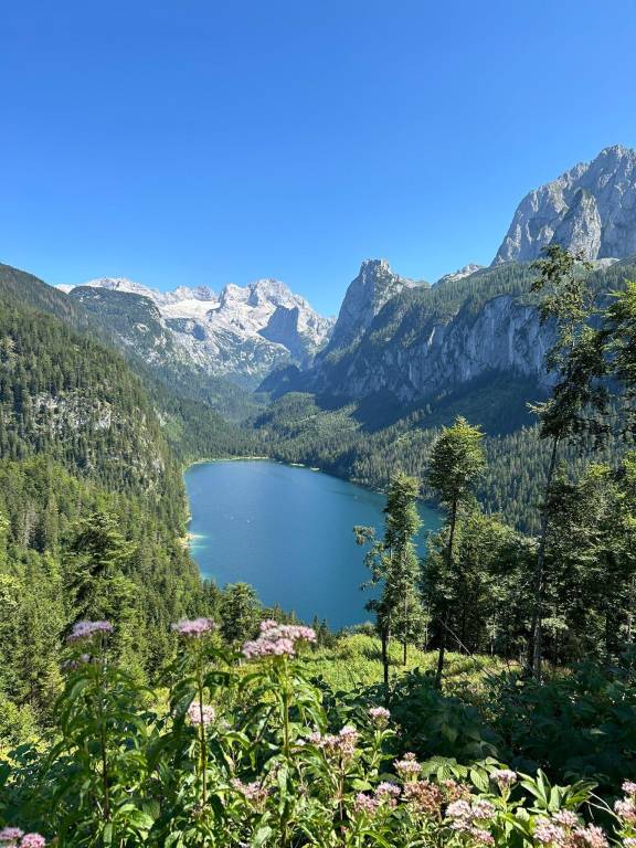 foto43