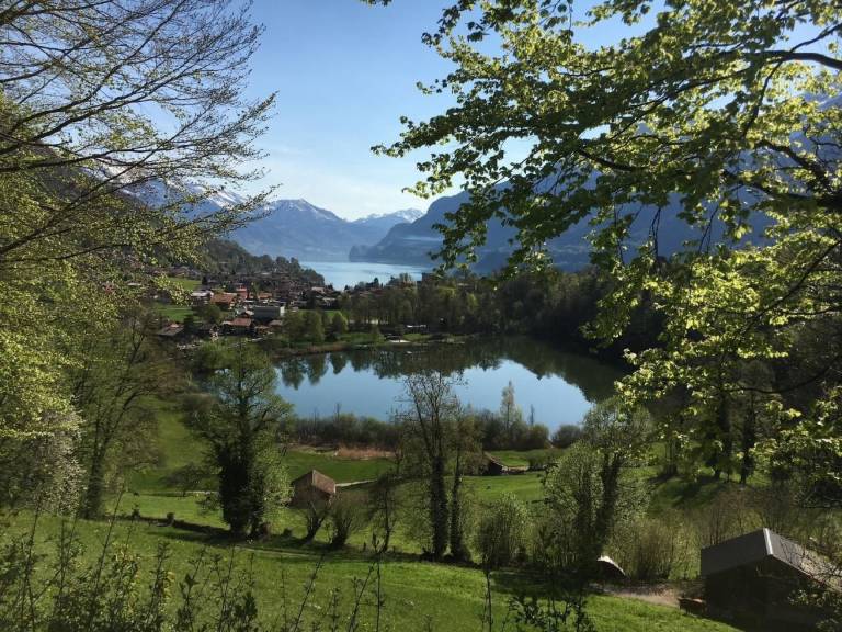 foto20