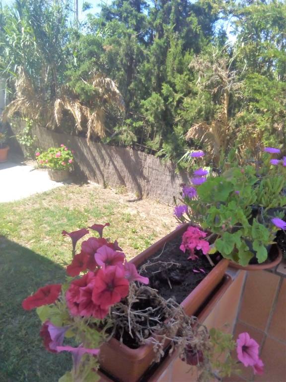 foto30