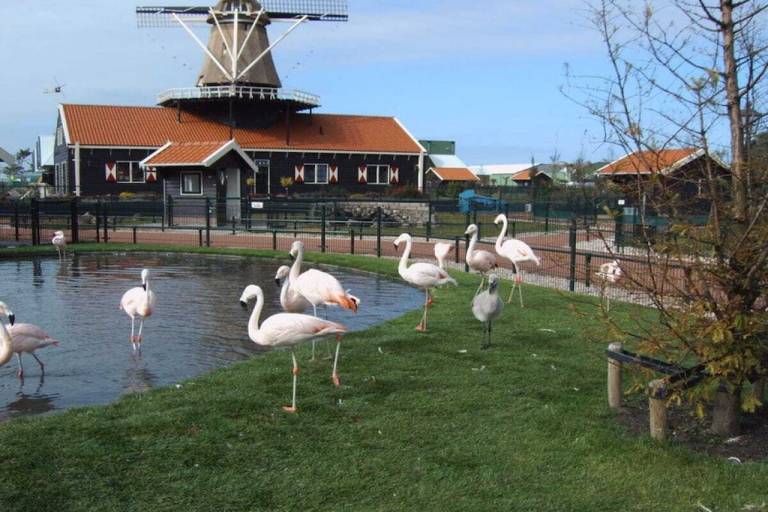 foto12