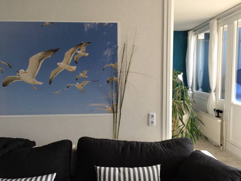 foto19