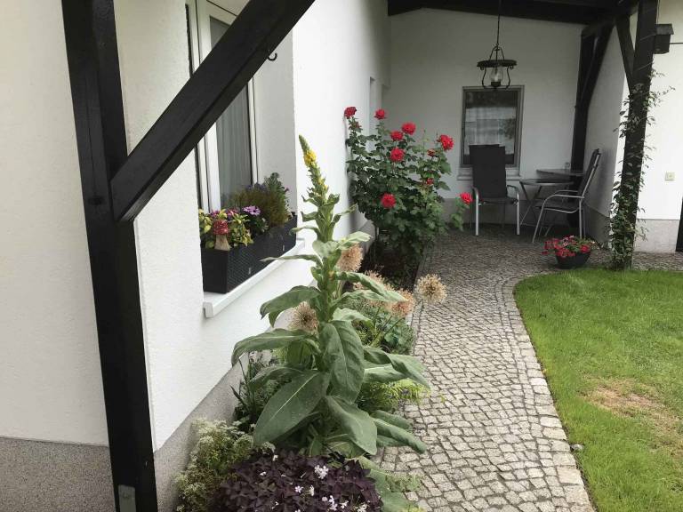 foto12