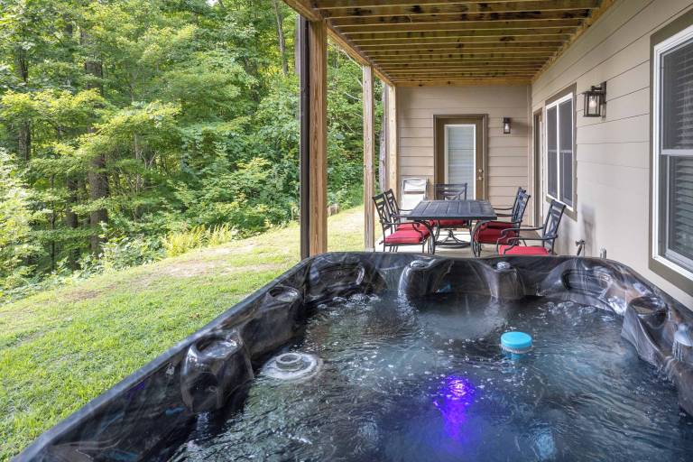 Cabin Bryson City