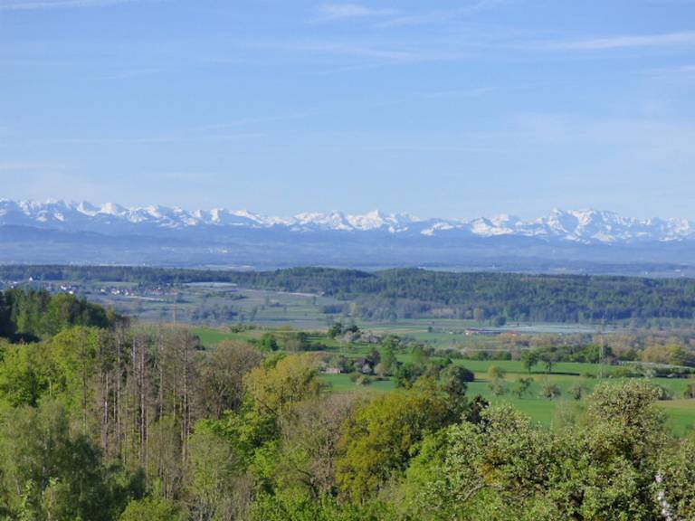 foto46