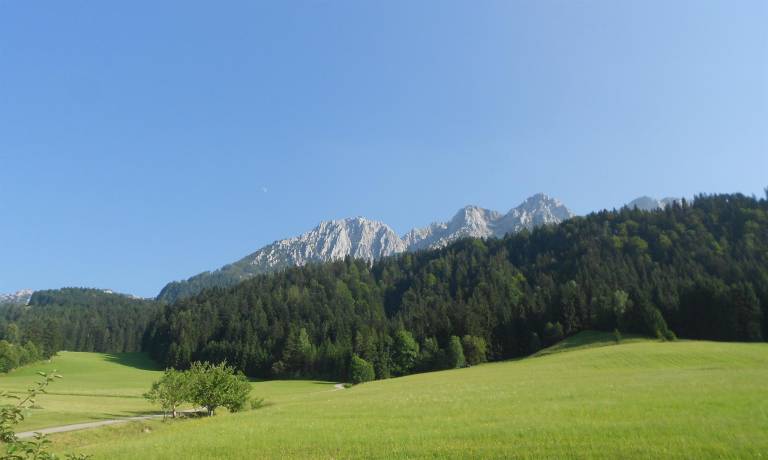 foto14
