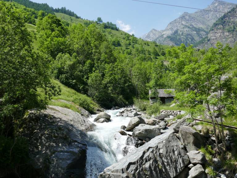 foto41