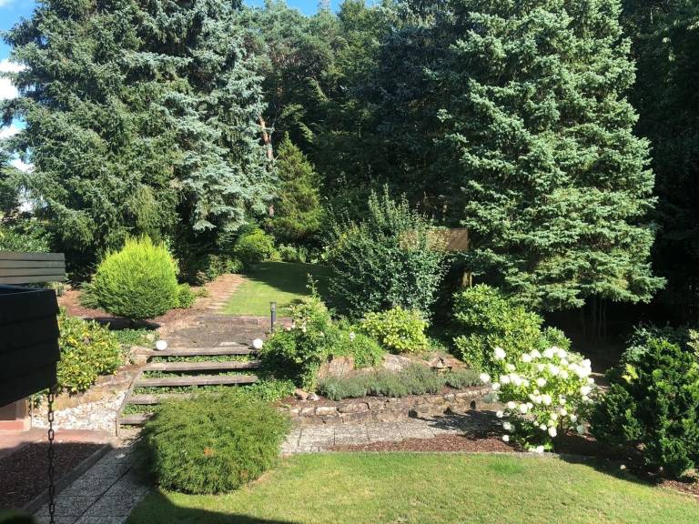 foto16