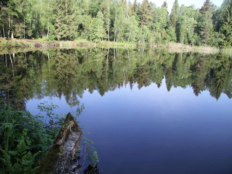 foto16