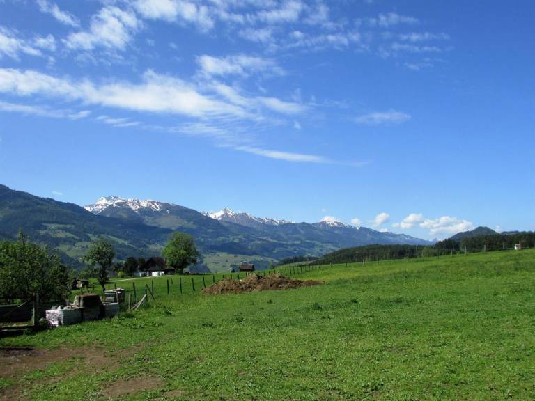 foto5