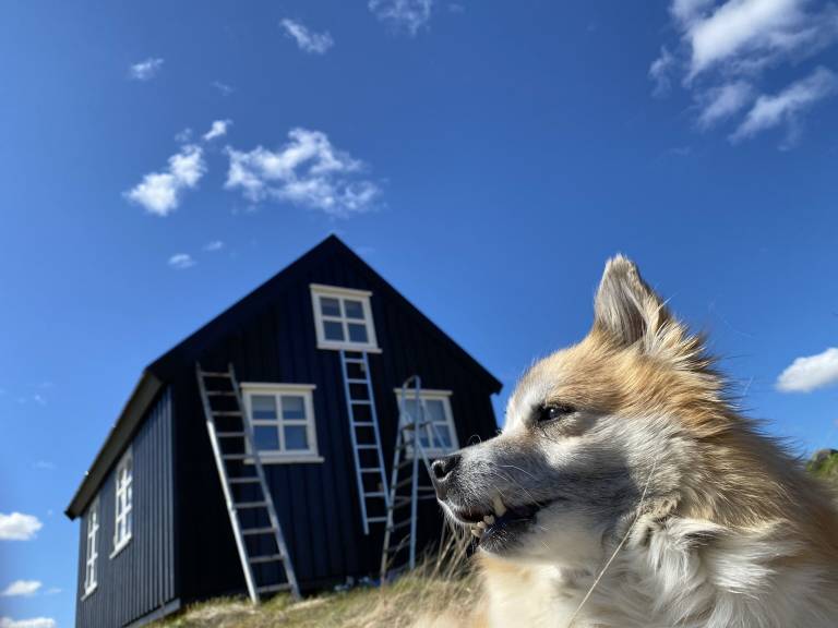 House Rangárþing ytra