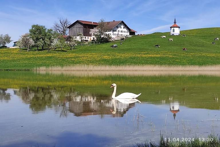 foto27