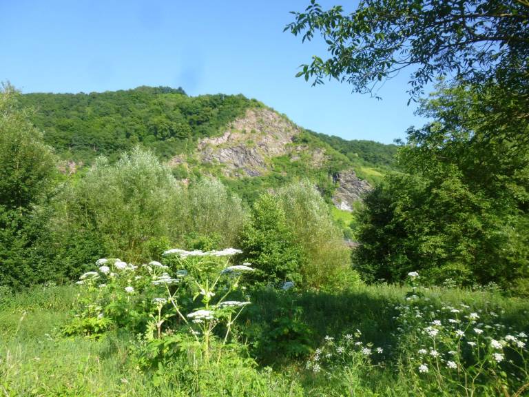 foto42