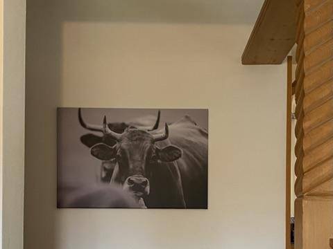 foto31