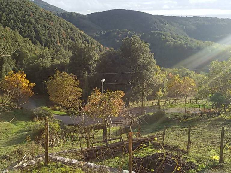 foto19