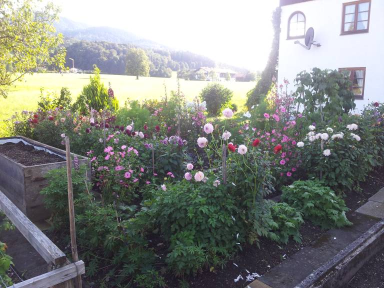 foto16