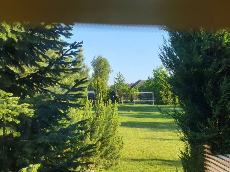 foto19