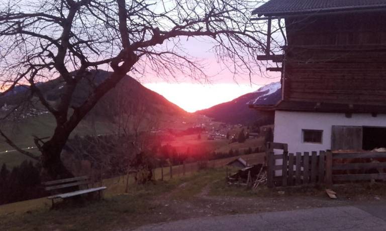 foto6