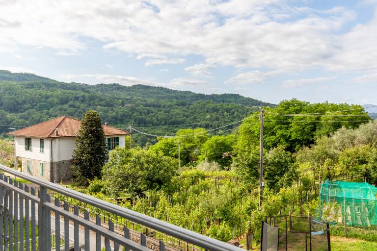 foto30