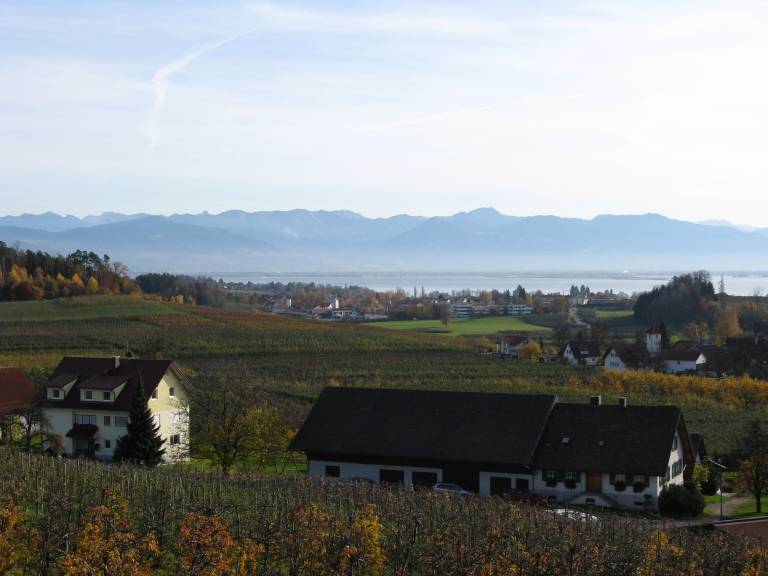 foto21