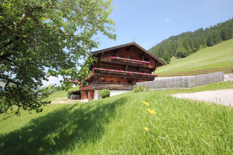 foto2