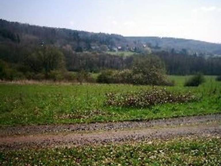 foto13