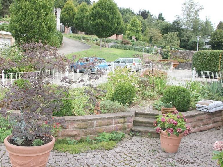 foto2
