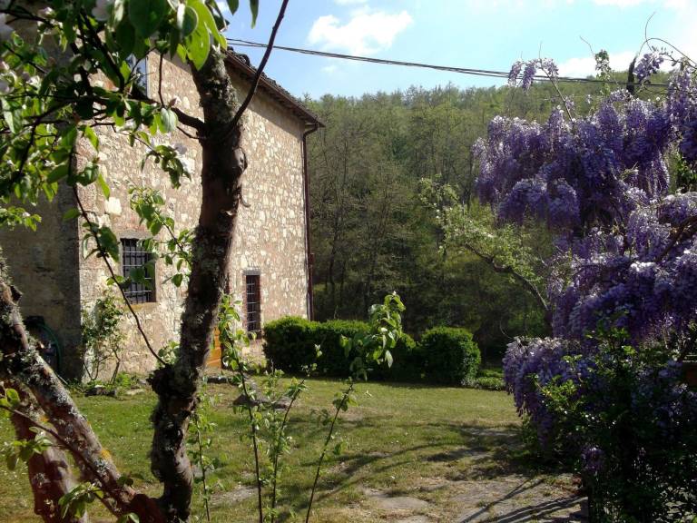 foto37