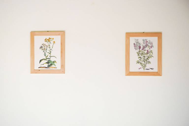 foto38