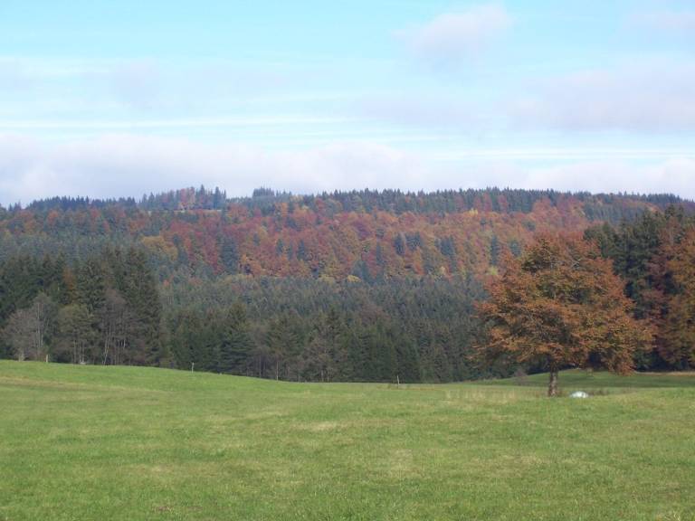 foto11